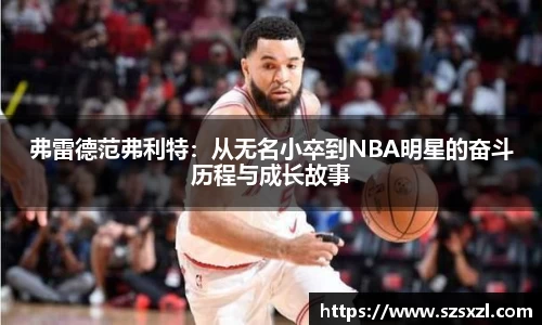 bsports官网登录入口